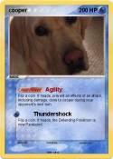 cooper
