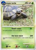 Angry turtle