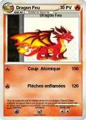 Dragon Feu