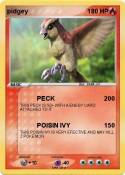 pidgey