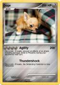 Doge