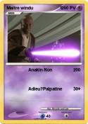 Maître windu 1