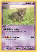 kitten