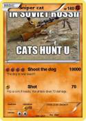 Sniper cat
