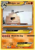 Sniper cat