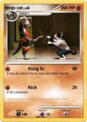 Ninja cat