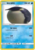 BIG BIRD