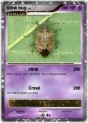 Stink bug