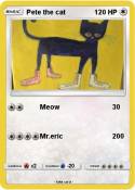 Pete the cat