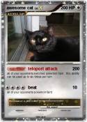 awesome cat