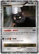 kitty