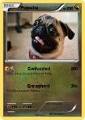 Pugachu