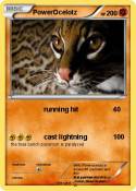 PowerOcelotz