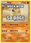 Doge