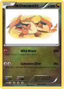 M Charizard