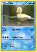 Duck