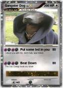 Gangster Dog