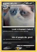 grumpy cat
