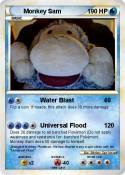 Monkey Sam