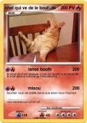 chat qui ve de