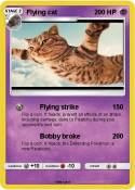Flying cat