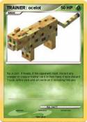 TRAINER: ocelot
