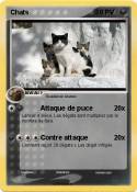 Chats