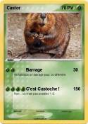 Castor