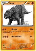 Pachy
