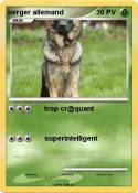 berger allemand