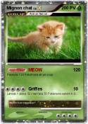 Mignon chat