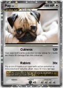 Pug
