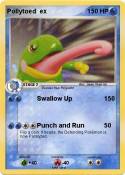 Pollytoed ex