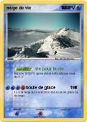 neige de vie