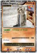 chaton flingere