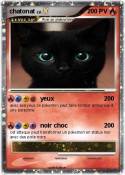 chatonat