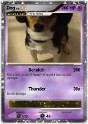 Dog