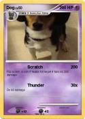 Dog
