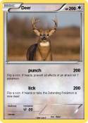 Deer