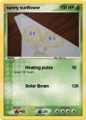 sunny sunflower