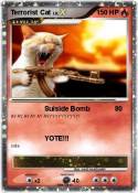 Terrorist Cat