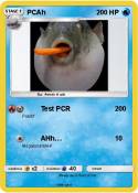 PCAh