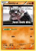 punchy cat