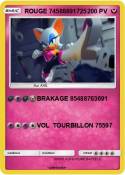 ROUGE 745888917