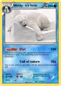 Windy: Ice form