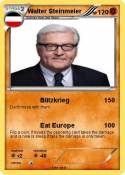 Walter Steinmei