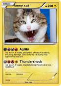 funny cat