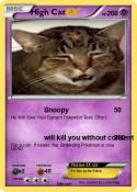 High Cat