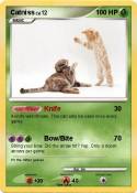 Catniss