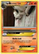 cutey cat